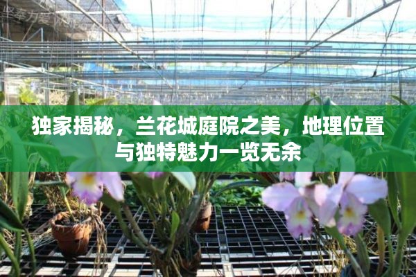 独家揭秘，兰花城庭院之美，地理位置与独特魅力一览无余