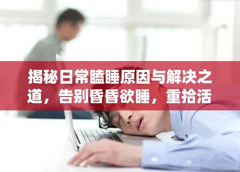 揭秘日常瞌睡原因与解决之道，告别昏昏欲睡，重拾活力！