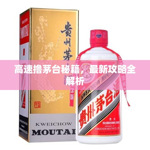 高速撸茅台秘籍，最新攻略全解析