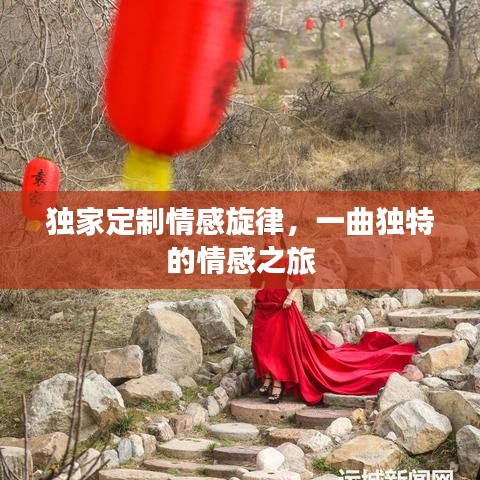 独家定制情感旋律，一曲独特的情感之旅