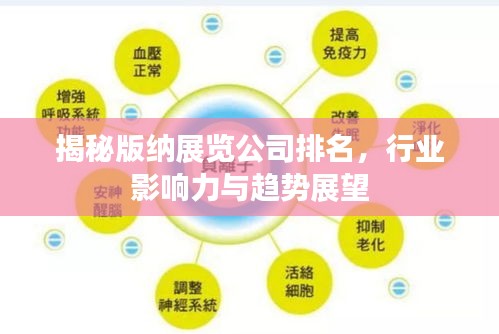 揭秘版纳展览公司排名，行业影响力与趋势展望