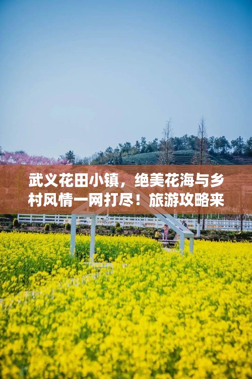 武义花田小镇，绝美花海与乡村风情一网打尽！旅游攻略来袭！