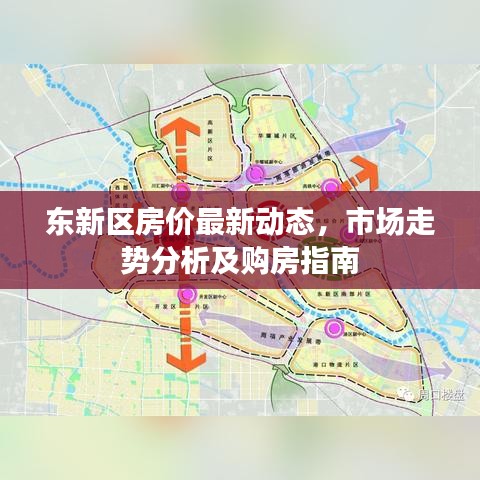 东新区房价最新动态，市场走势分析及购房指南
