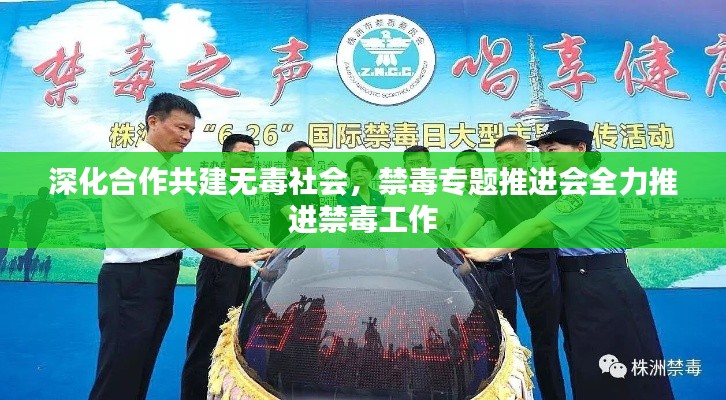 深化合作共建无毒社会，禁毒专题推进会全力推进禁毒工作