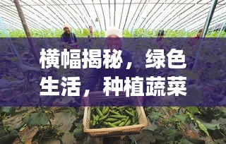 横幅揭秘，绿色生活，种植蔬菜开启生态幸福之门