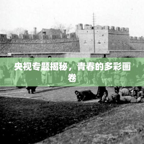 央视专题揭秘，青春的多彩画卷