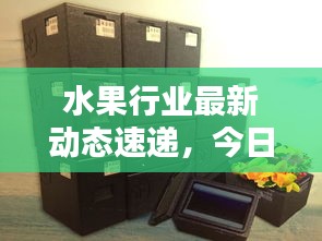 水果行业最新动态速递，今日新闻全掌握