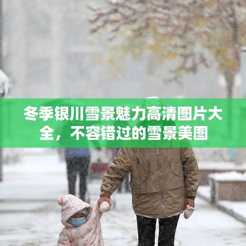 冬季银川雪景魅力高清图片大全，不容错过的雪景美图