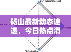 砀山最新动态速递，今日热点消息一网打尽！