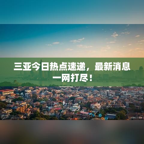 2025年6月19日 第3页